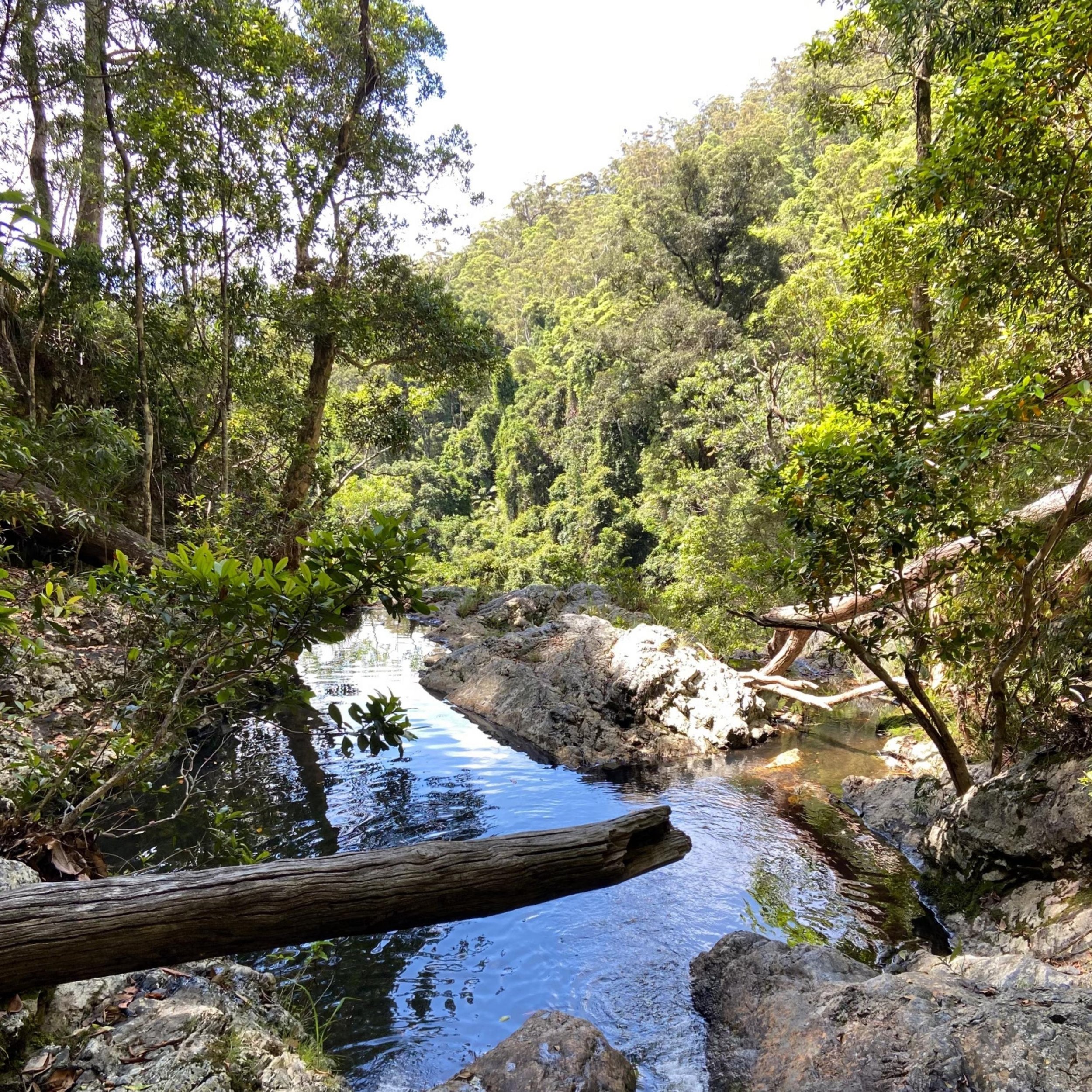 Northern NSW
